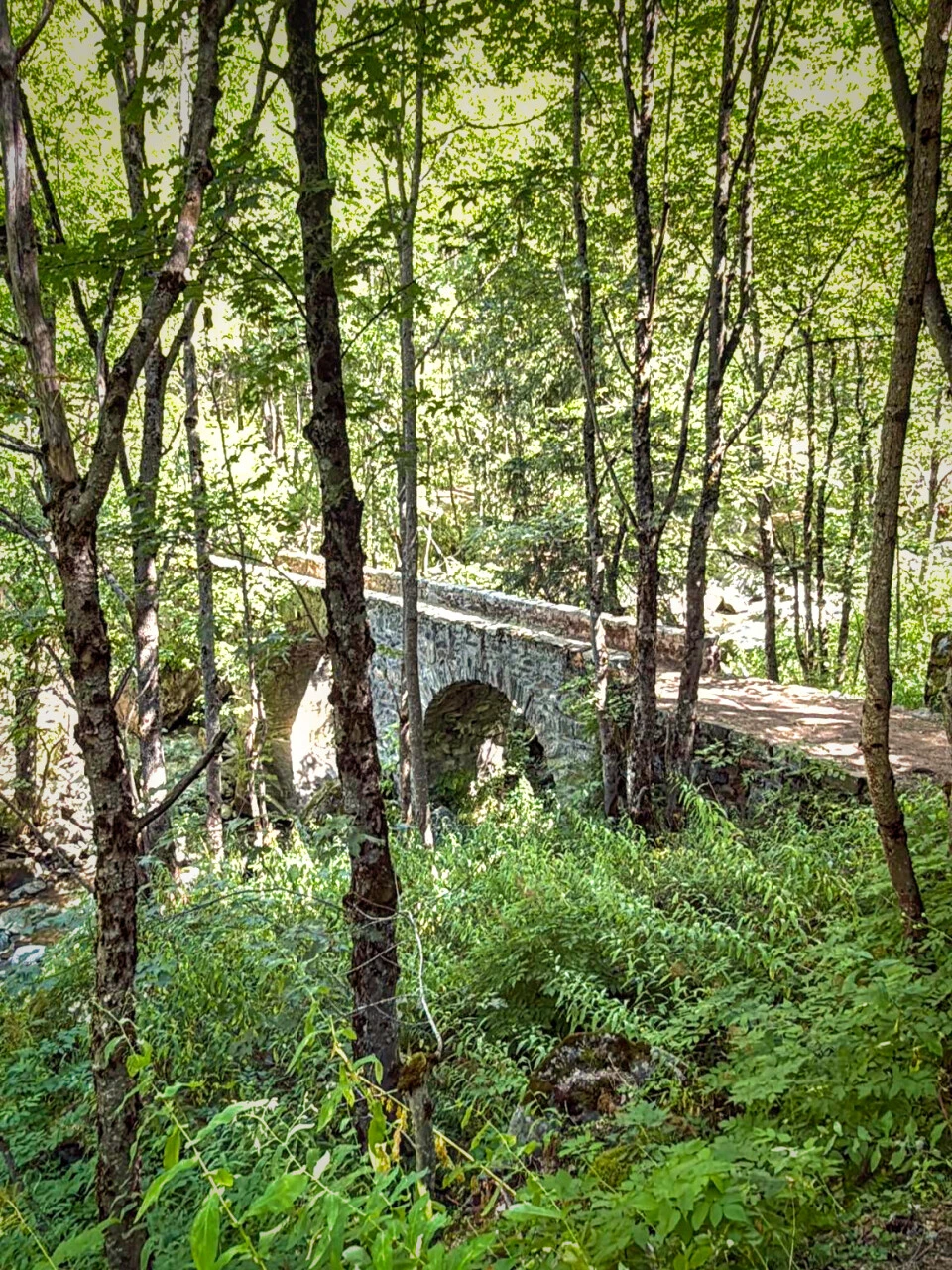 Passerella sul Vénéon