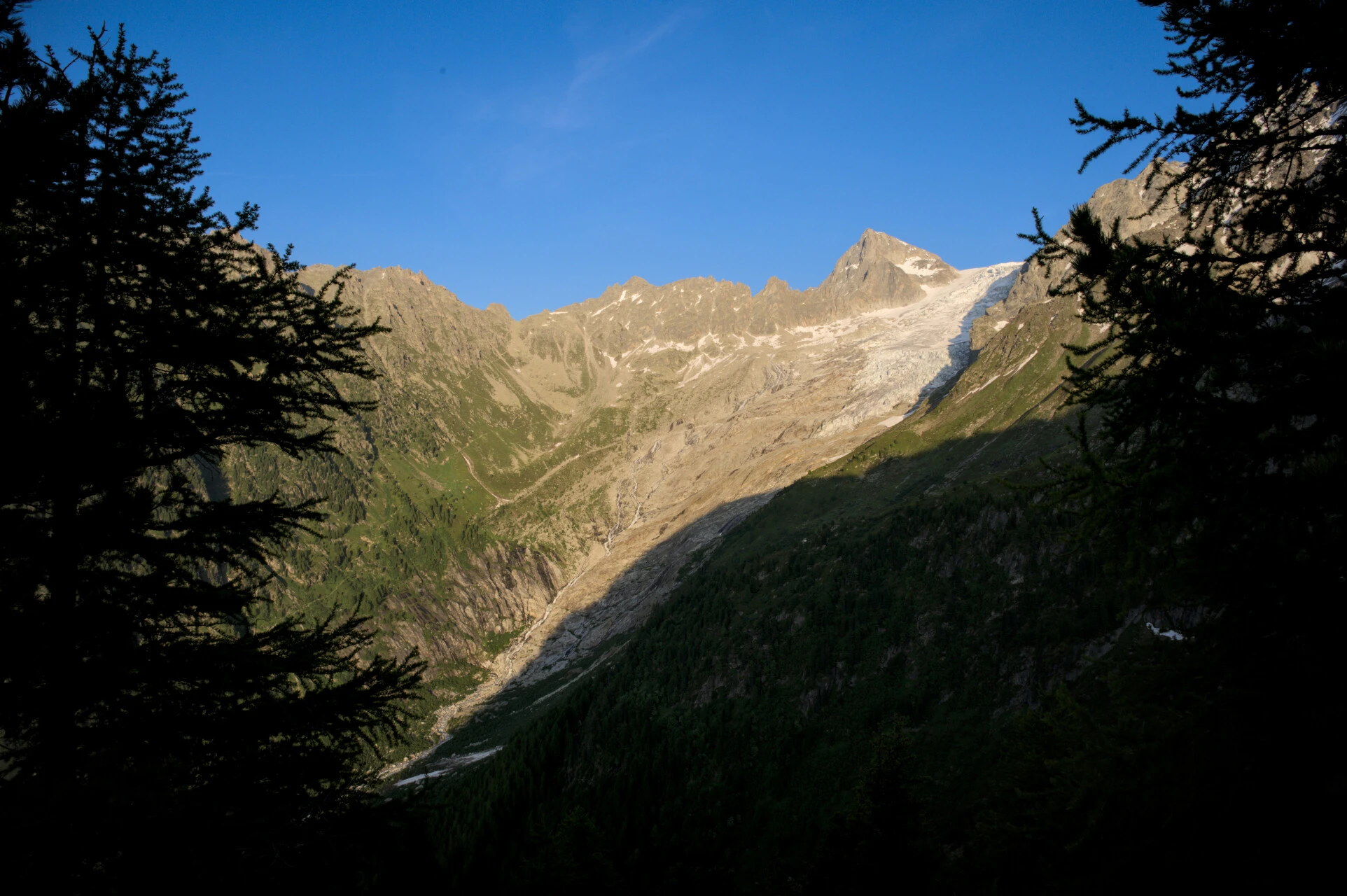 Sagome di abeti e cime glaciali dalle alture del Col de Balme