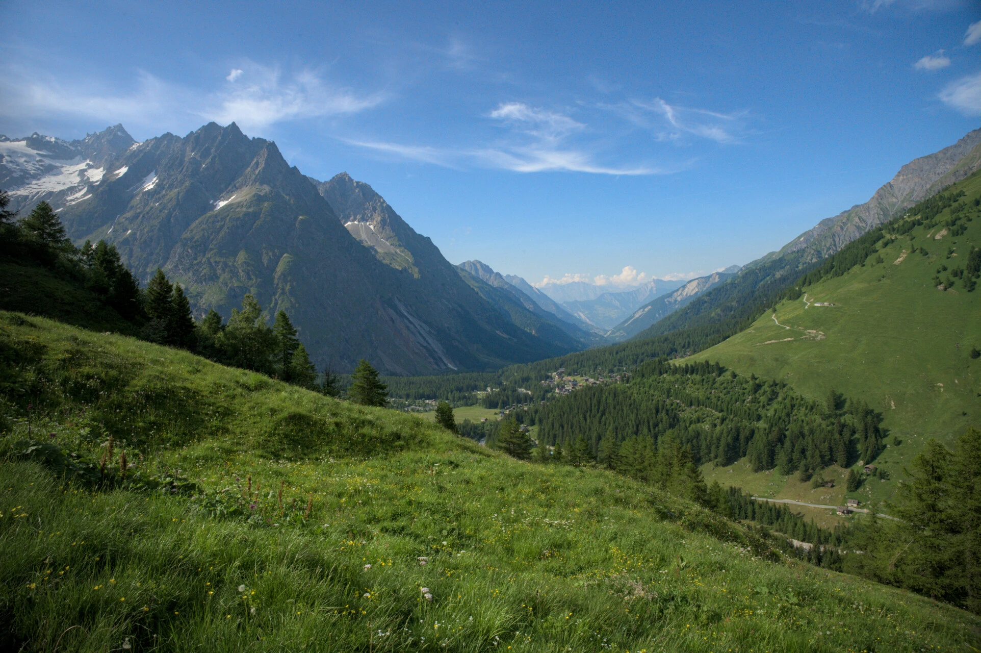 Prato del Val Ferret svizzero con i ghiacciai del Monte Bianco sullo sfondo