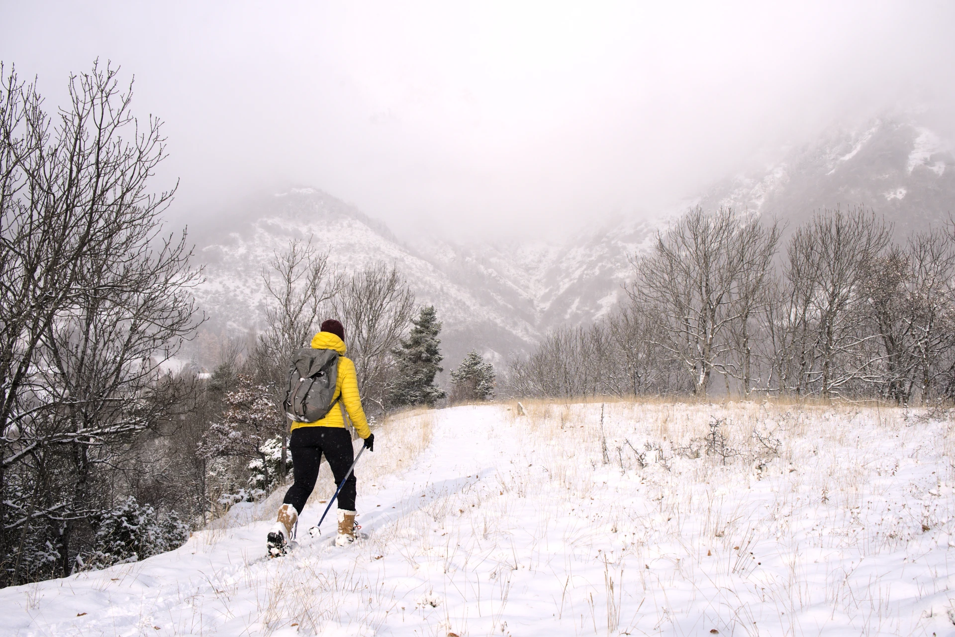 iniziazione ciaspole