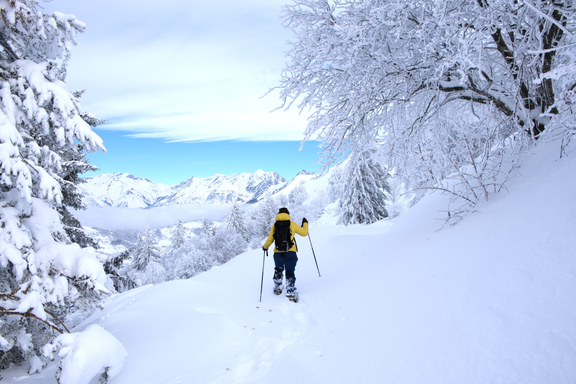 Ciaspolate nelle Alpi Francesi 2026 - Uscite Guidate