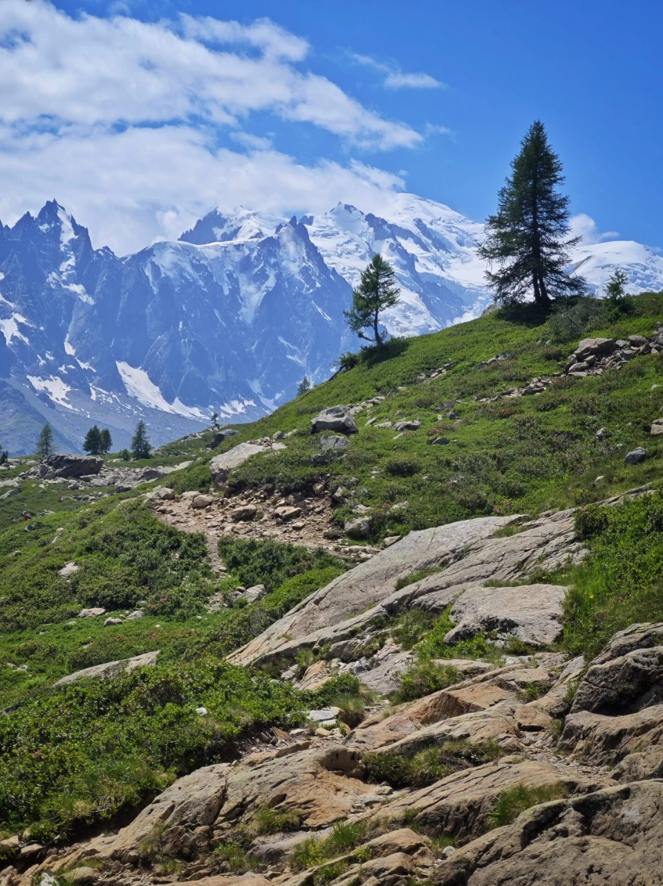 Il sentiero sopra il col des Montets, con il massiccio del Monte Bianco di fronte per tutta la salita